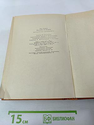 Перикильо Сарньенто