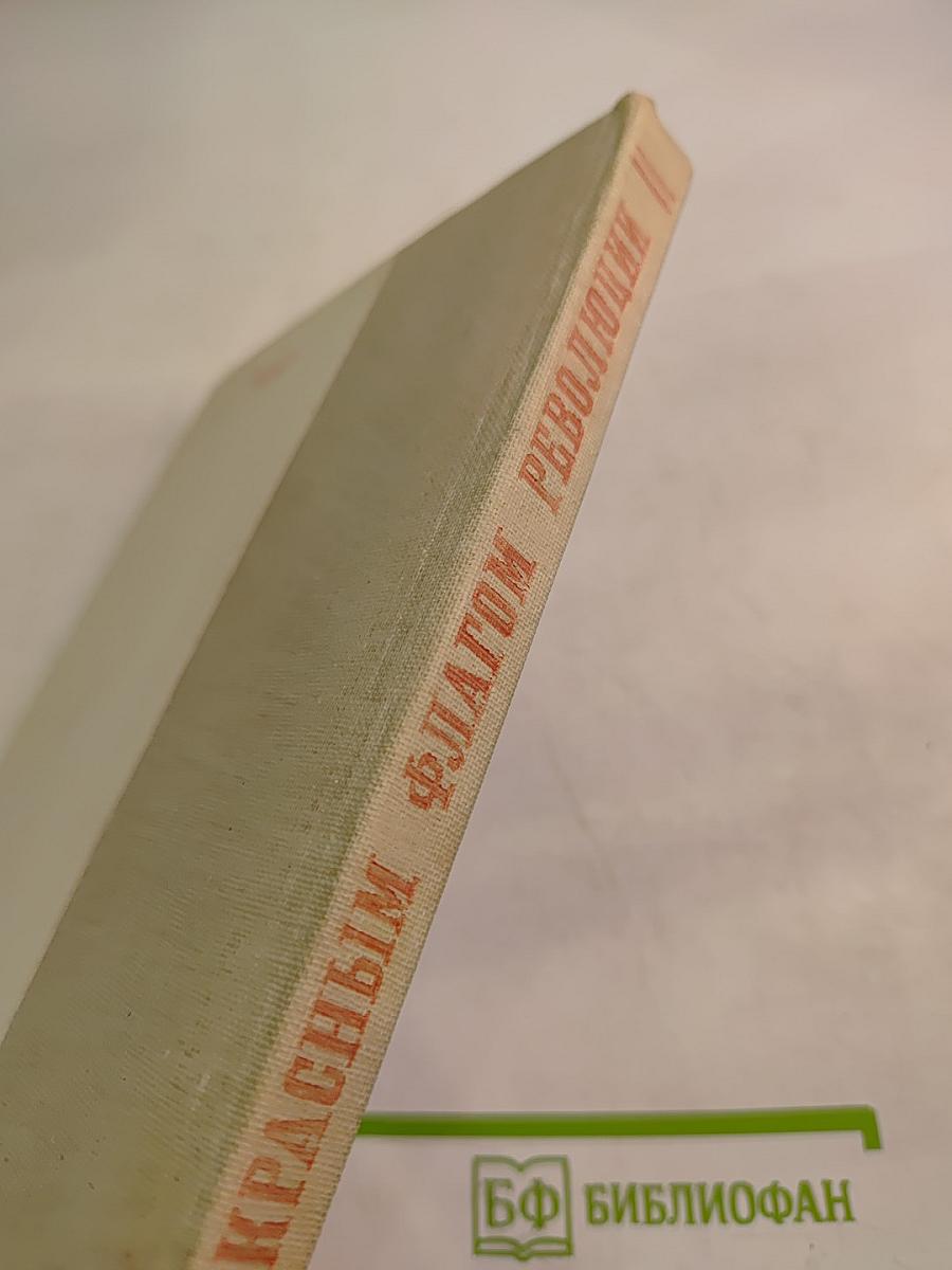 Флот под Красным Флагом Революции