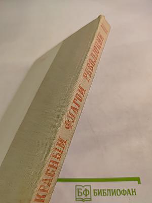 Флот под Красным Флагом Революции