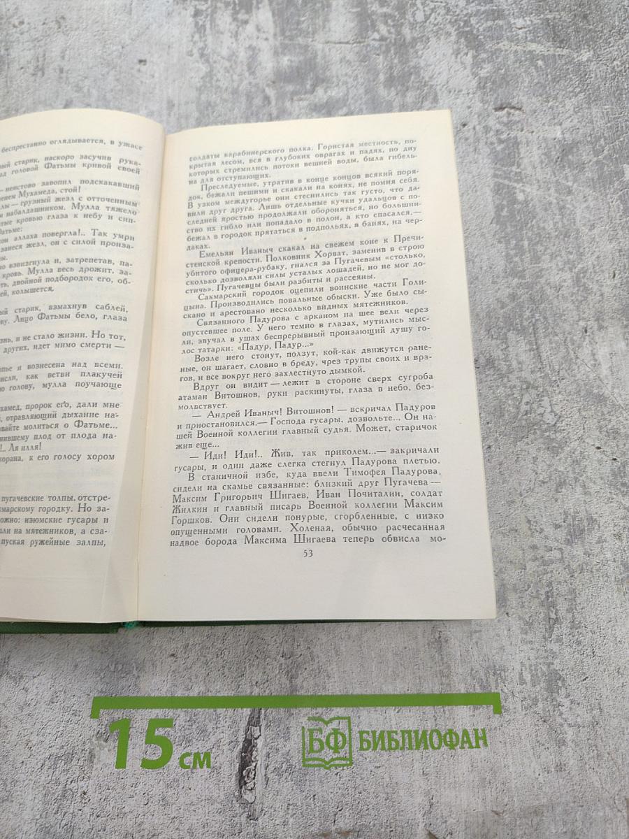 В.Я. Шишков. Собрание сочинений в восьми томах. Том 8. Емельян Пугачев