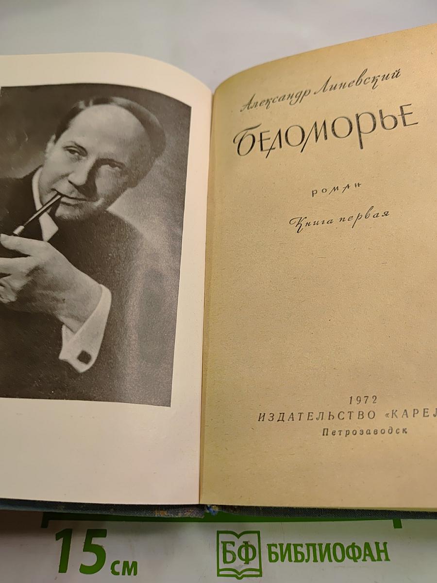 Беломорье. Книга первая