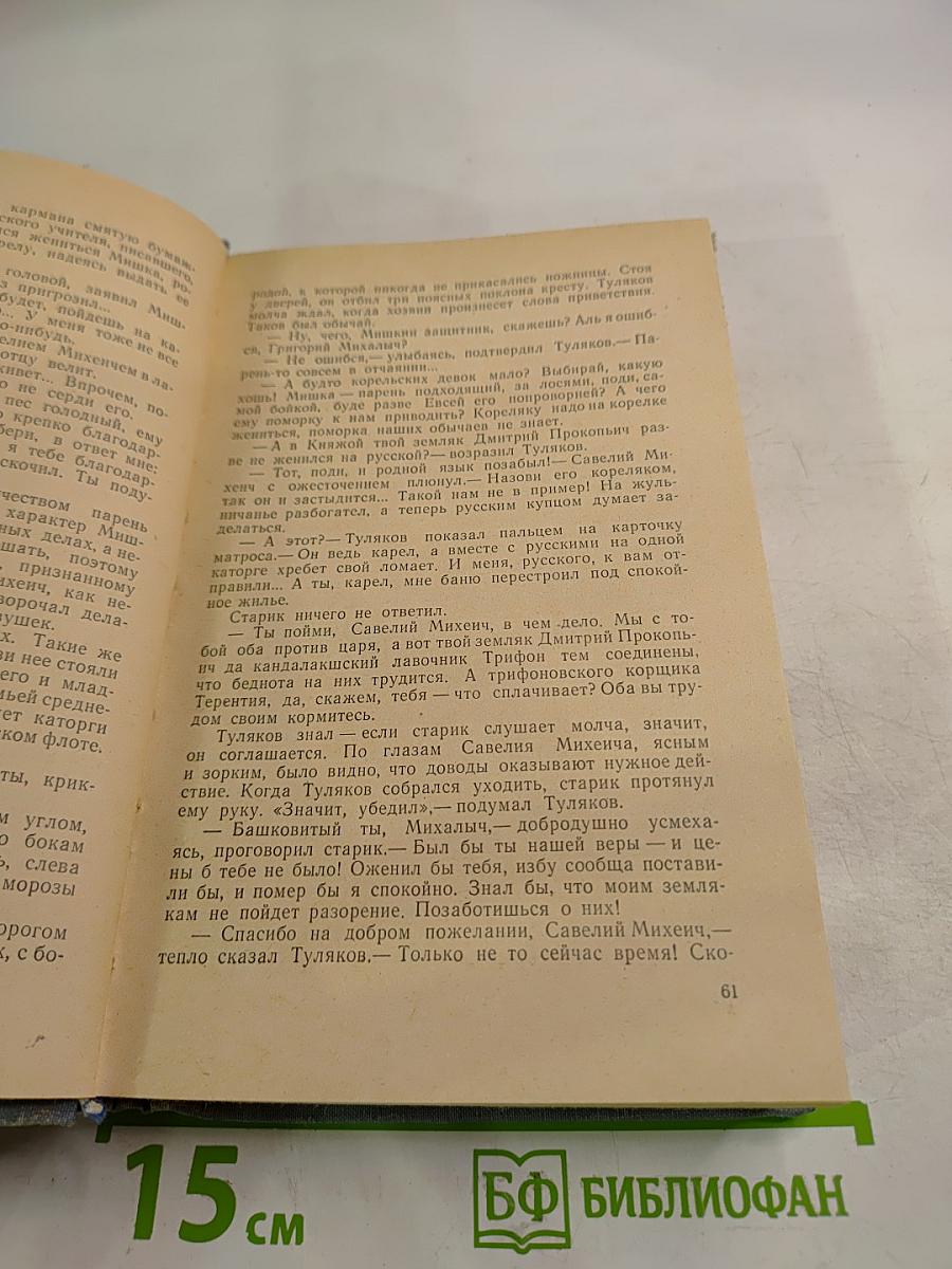 Беломорье. Книга первая