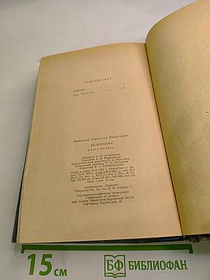 Беломорье. Книга первая