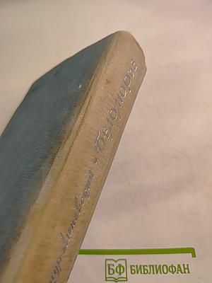 Беломорье. Книга первая