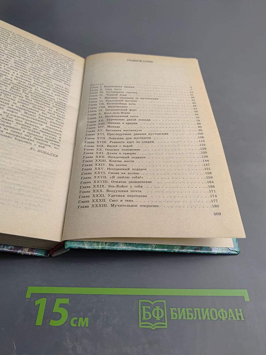 Всадник без головы