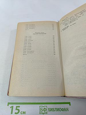 Слово и дело. Роман-хроника времен Анны Иоанновны. Книга 1. Царица престрашного зраку