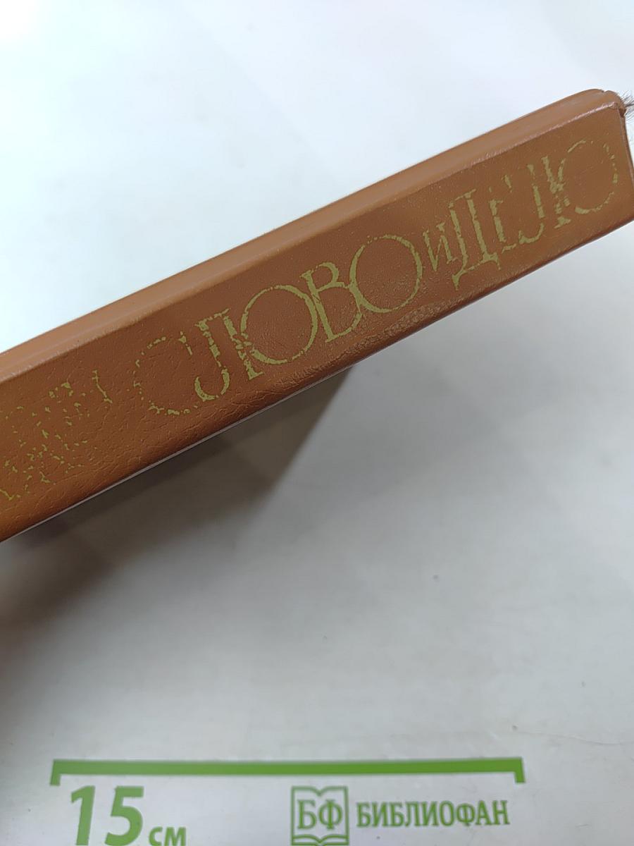 Слово и дело. Роман-хроника времен Анны Иоанновны. Книга 1. Царица престрашного зраку