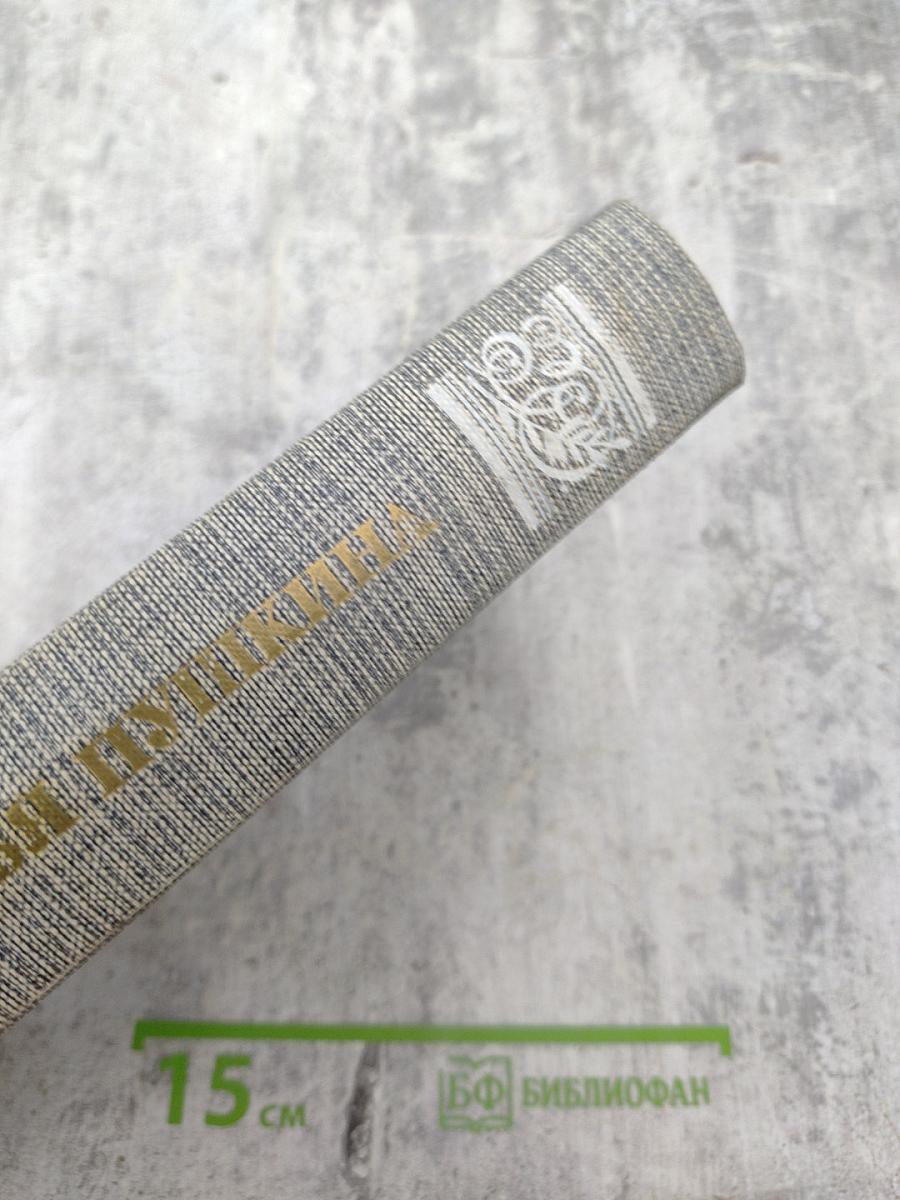 Друзья Пушкина. Переписка. Воспоминания. Дневники. Том 1