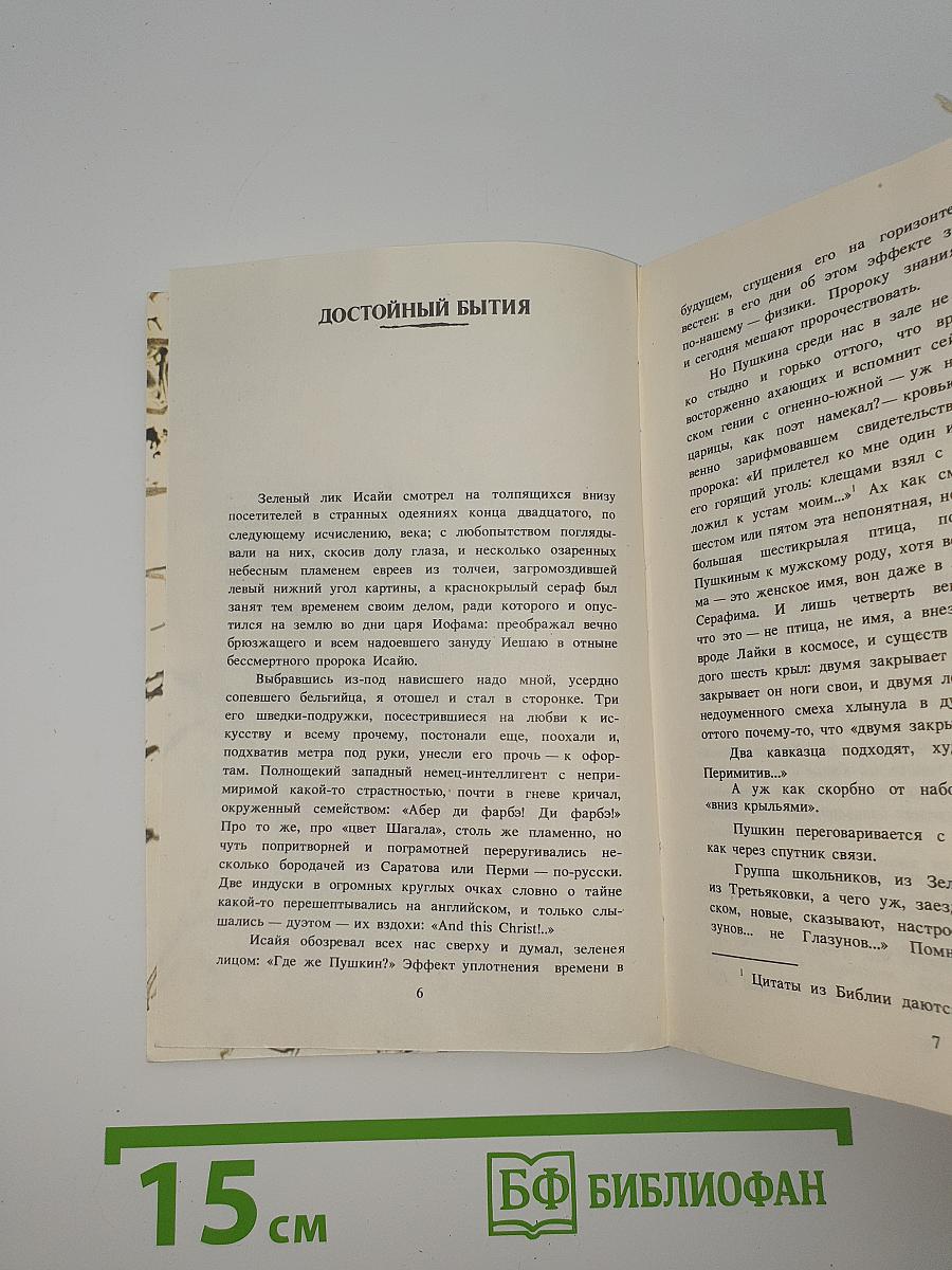 Ангел над крышами