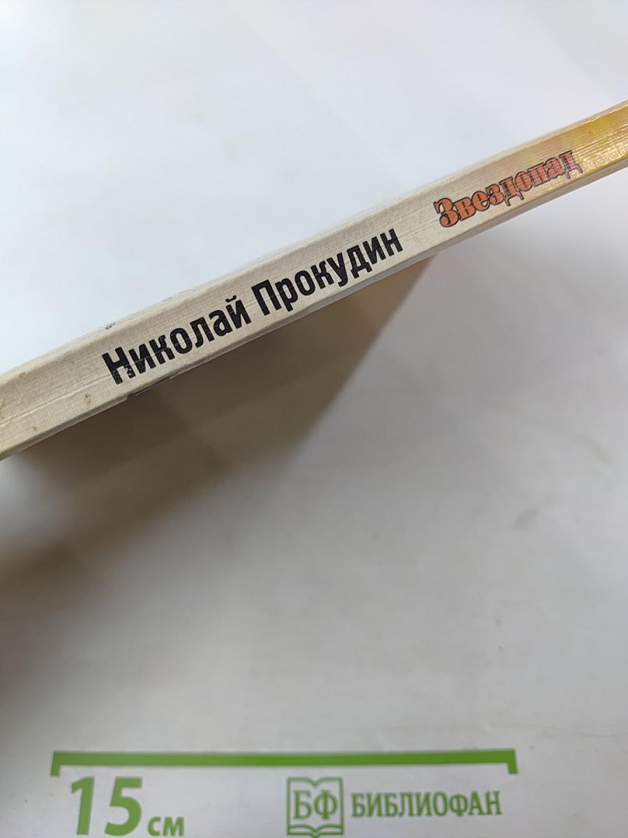 Постарайся вернуться живым... Трилогия. Звездопад. Книга вторая