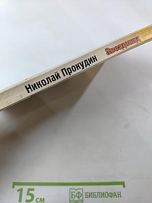 Постарайся вернуться живым... Трилогия. Звездопад. Книга вторая