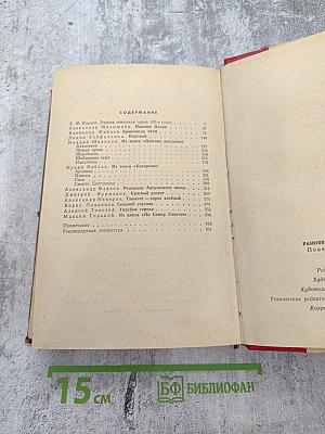 Ранняя советская проза. Повести. Рассказы (20-е годы)