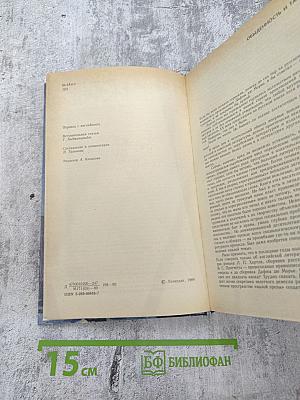 Не позже полуночи