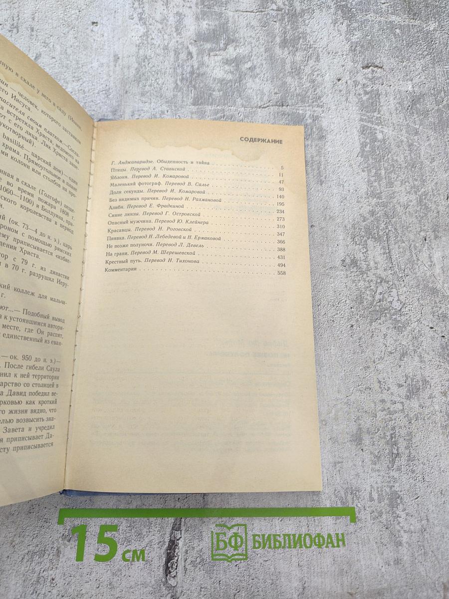 Не позже полуночи