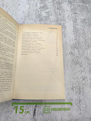 Не позже полуночи