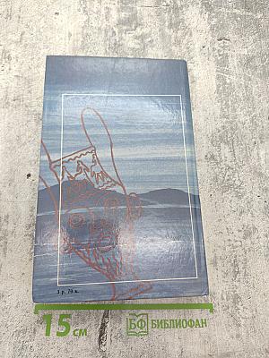 Не позже полуночи