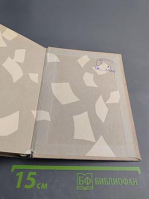 Вася Алексеев