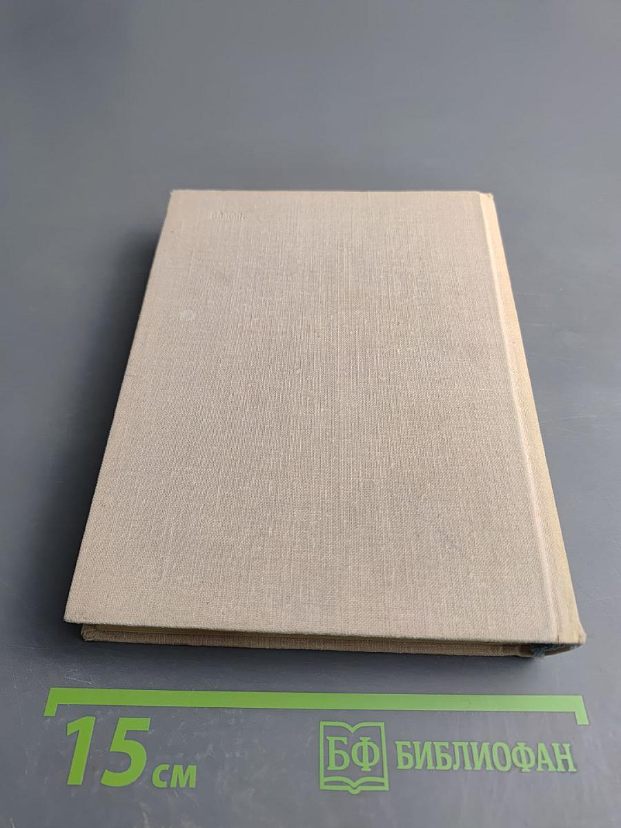 Вася Алексеев