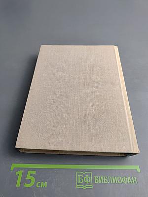 Вася Алексеев