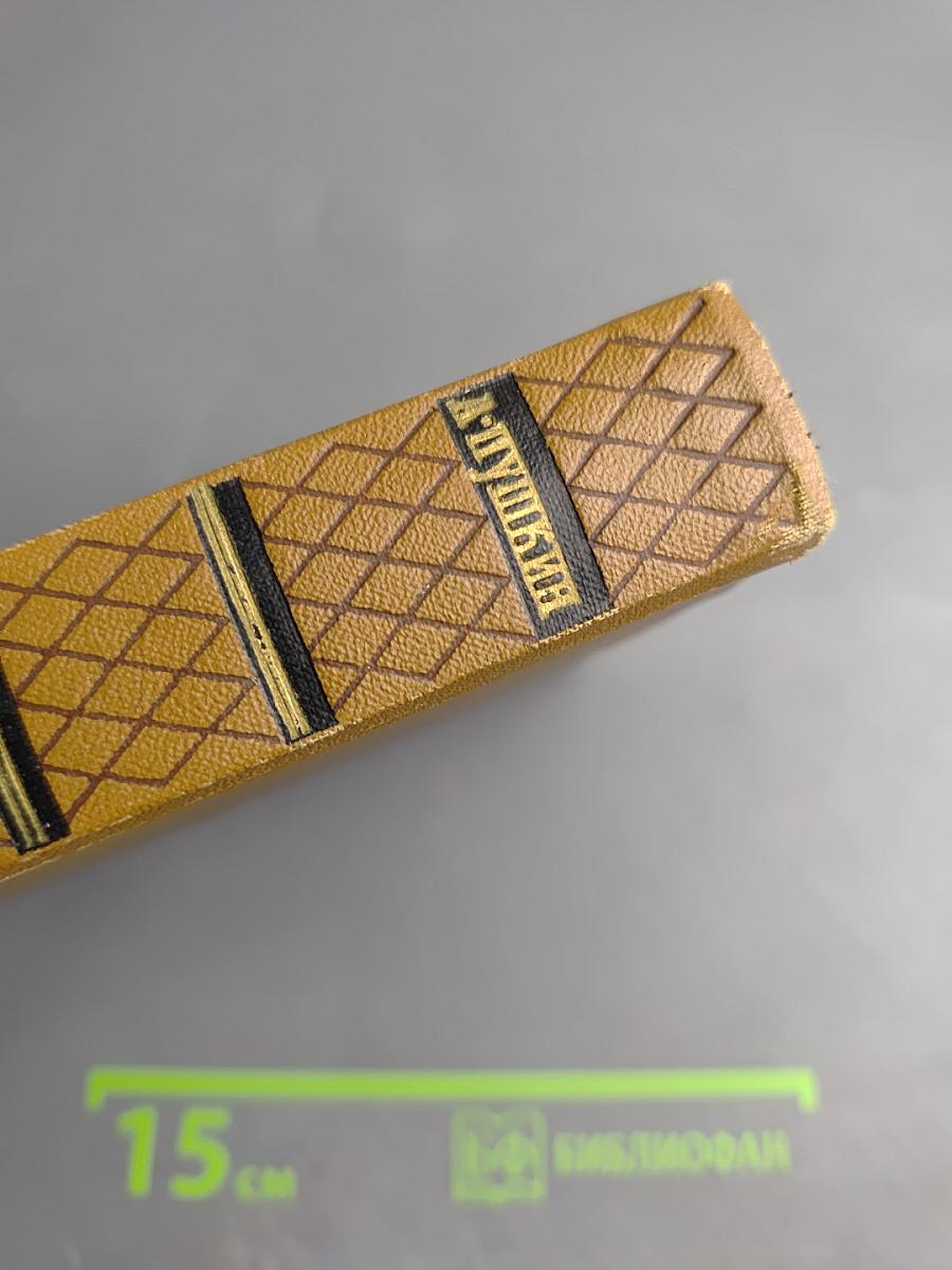 Собрание сочинений. Том восьмой: История Петра I. Записки Бригадира Моро-де-Бразе