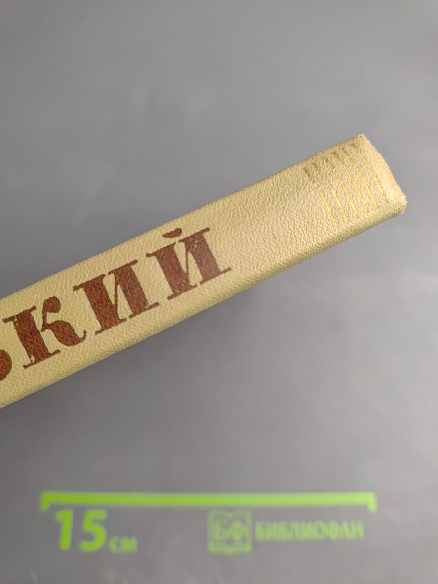 Собрание сочинений. Том 14. Жизнь Клима Самгина. Часть третья