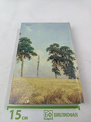 Рассказ о русской живописи