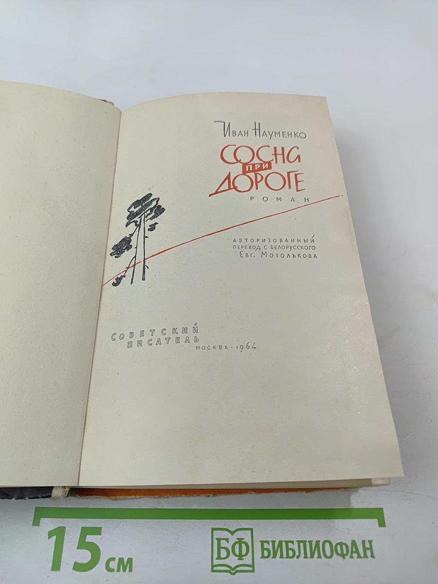 Сосна при дороге