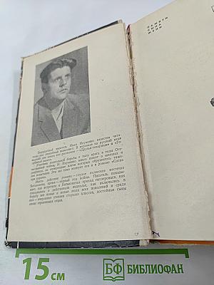 Сосна при дороге