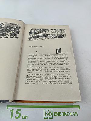 Сосна при дороге