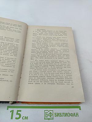 Сосна при дороге