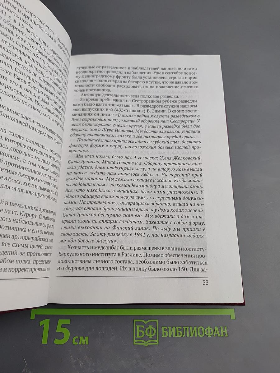 Непокорённый рубеж. Битва за Победу. Том II
