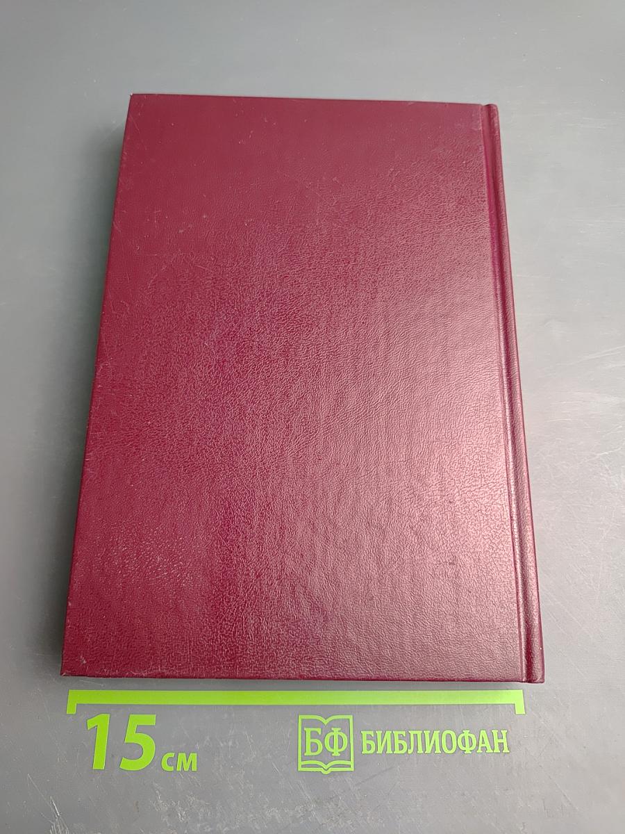 Непокорённый рубеж. Битва за Победу. Том II