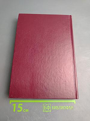 Непокорённый рубеж. Битва за Победу. Том II