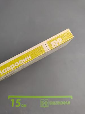 Основание Петербурга