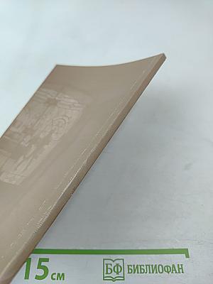 Пора была стрижей...