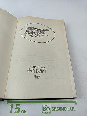 Рыцарь золотого веера