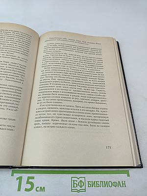 Рыцарь золотого веера