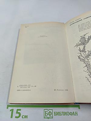 Время любить. Книга третья