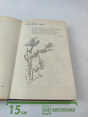 Время любить. Книга третья