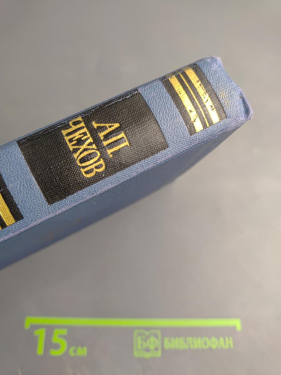 Собрание сочинений в восьми томах. Том 6. Рассказы и повести 1895–1903