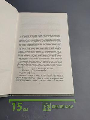 Собрание сочинений. Том второй: Рудин. Дворянское гнездо