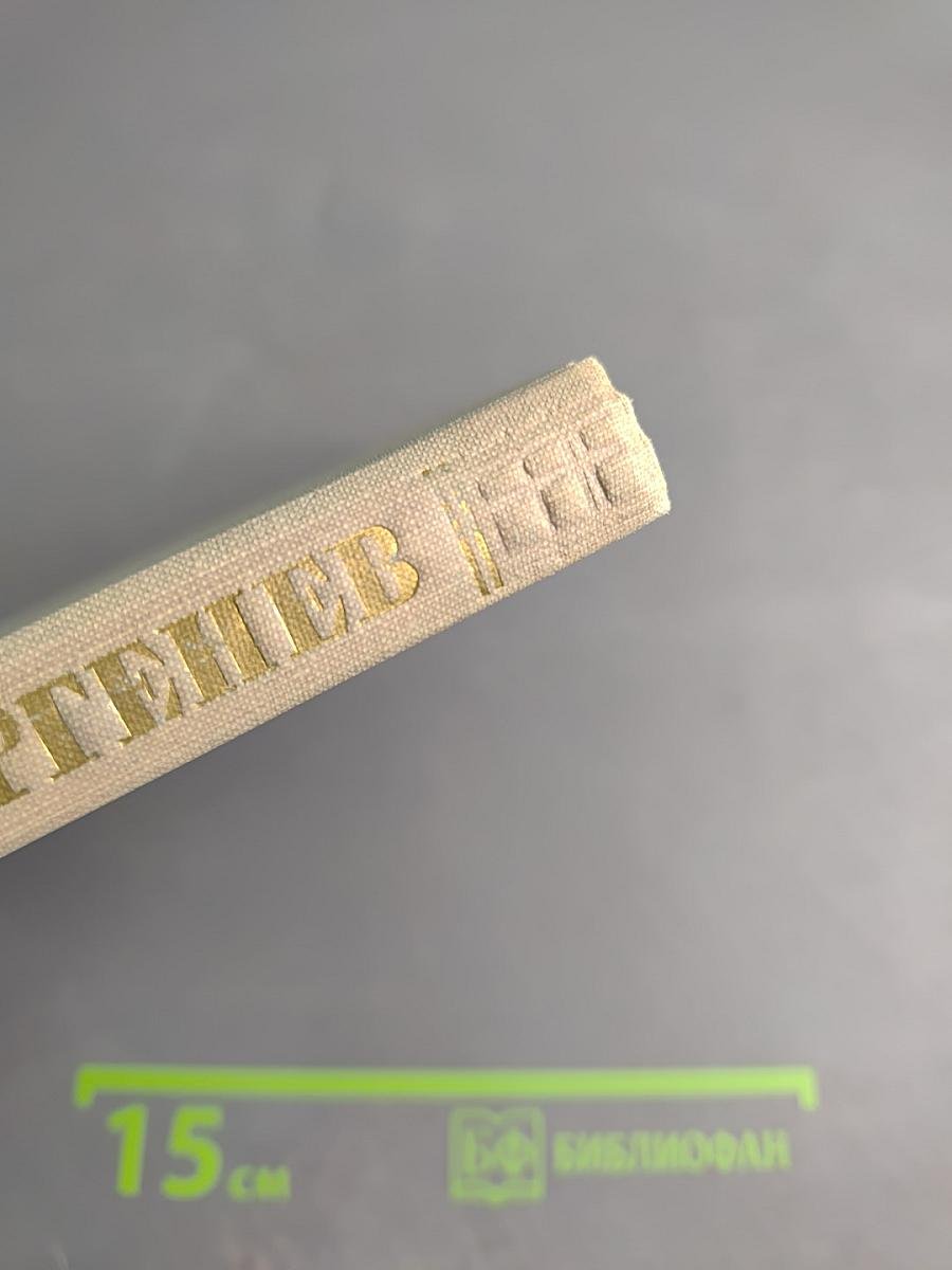 Собрание сочинений. Том второй: Рудин. Дворянское гнездо