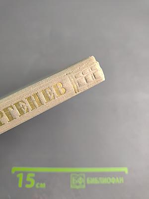 Собрание сочинений. Том второй: Рудин. Дворянское гнездо