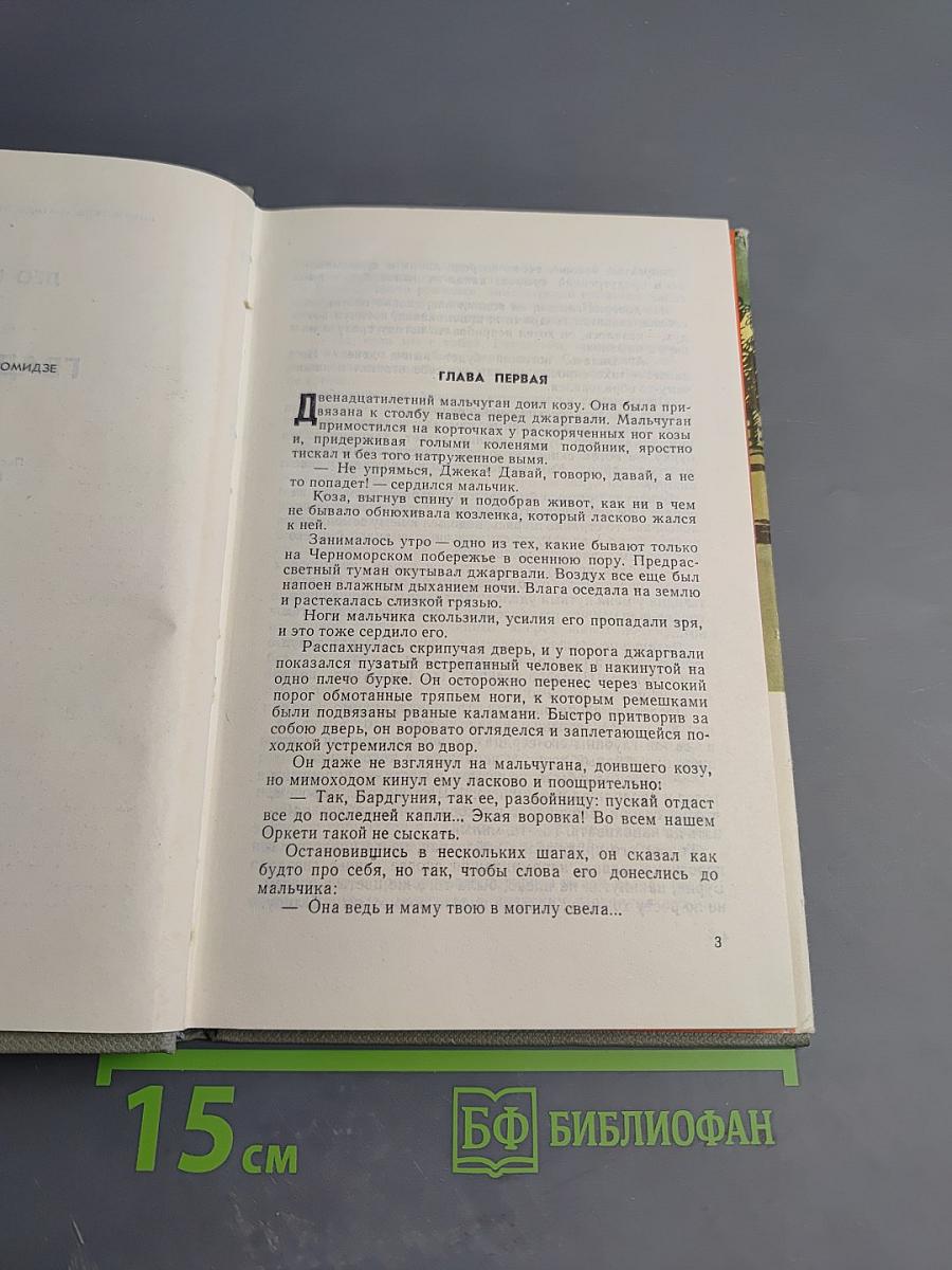 Гвади Бигва