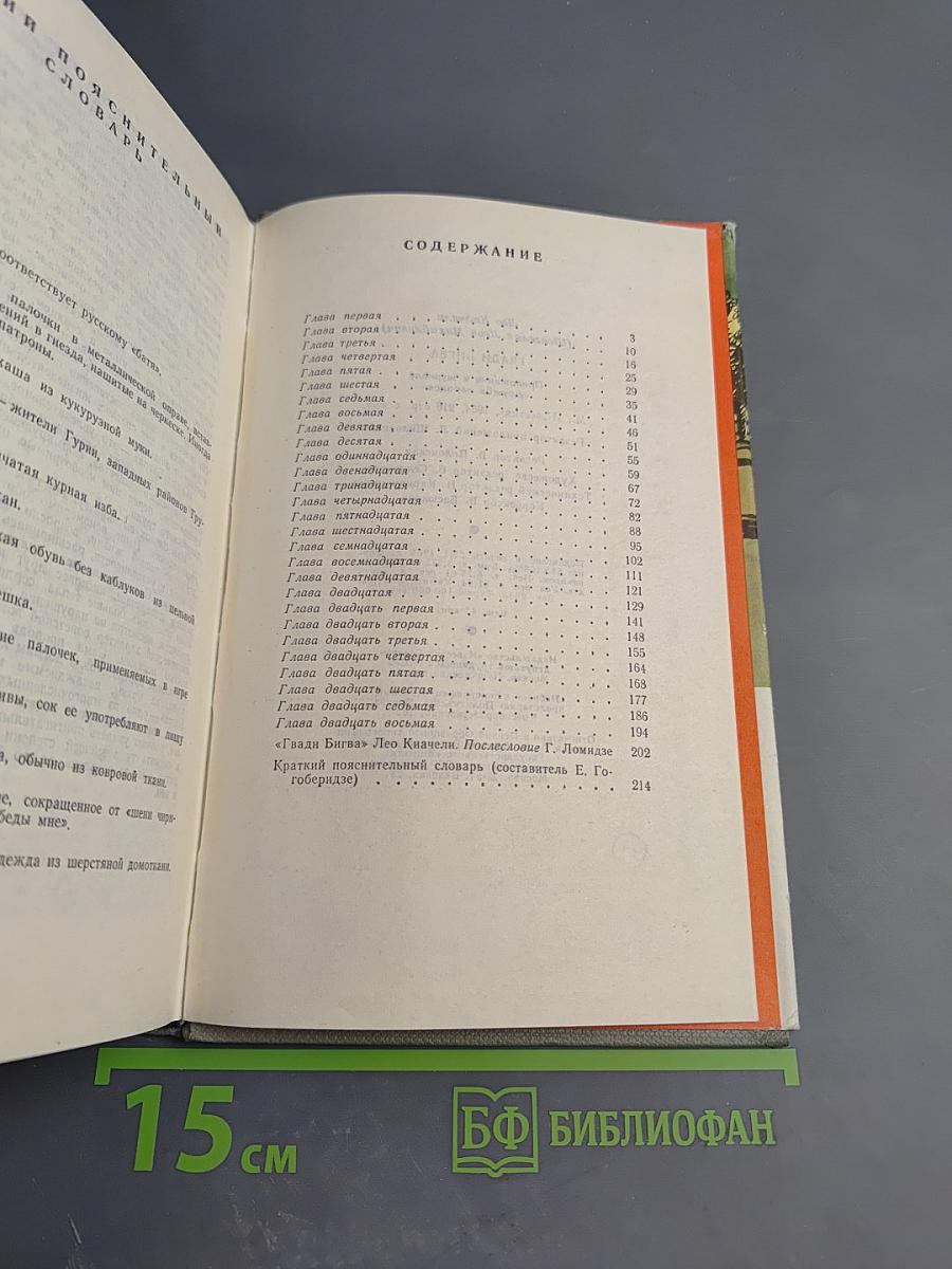 Гвади Бигва