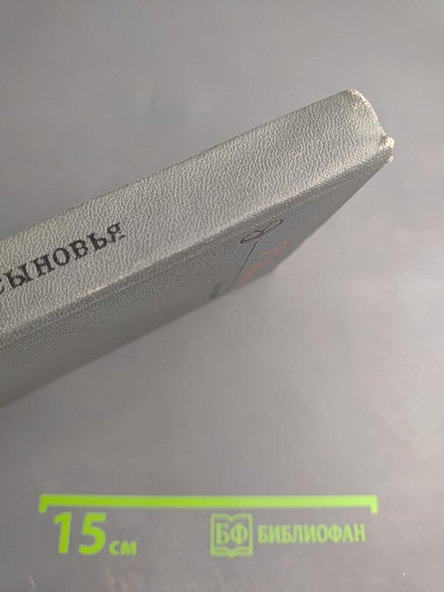 Твои сыновья