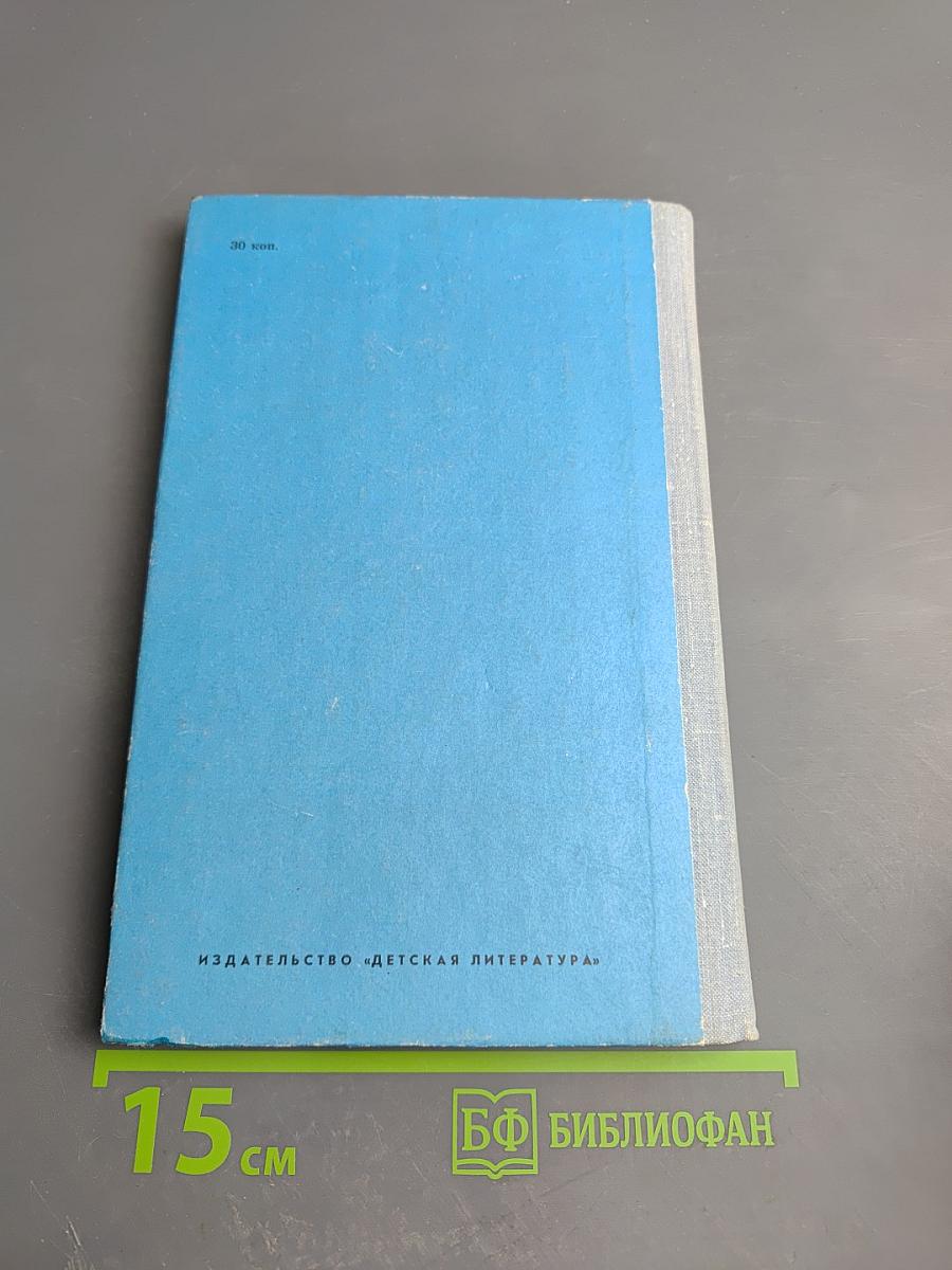 Лирика (Школьная библиотека, 6 класс)