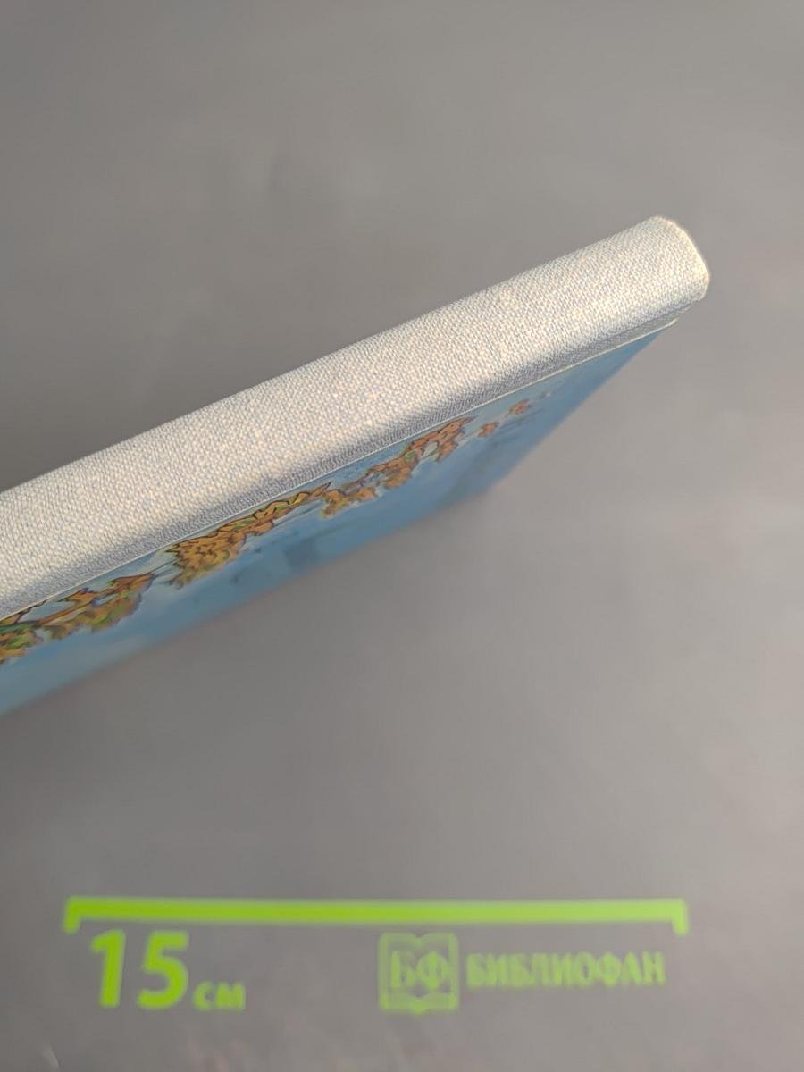 Лирика (Школьная библиотека, 6 класс)