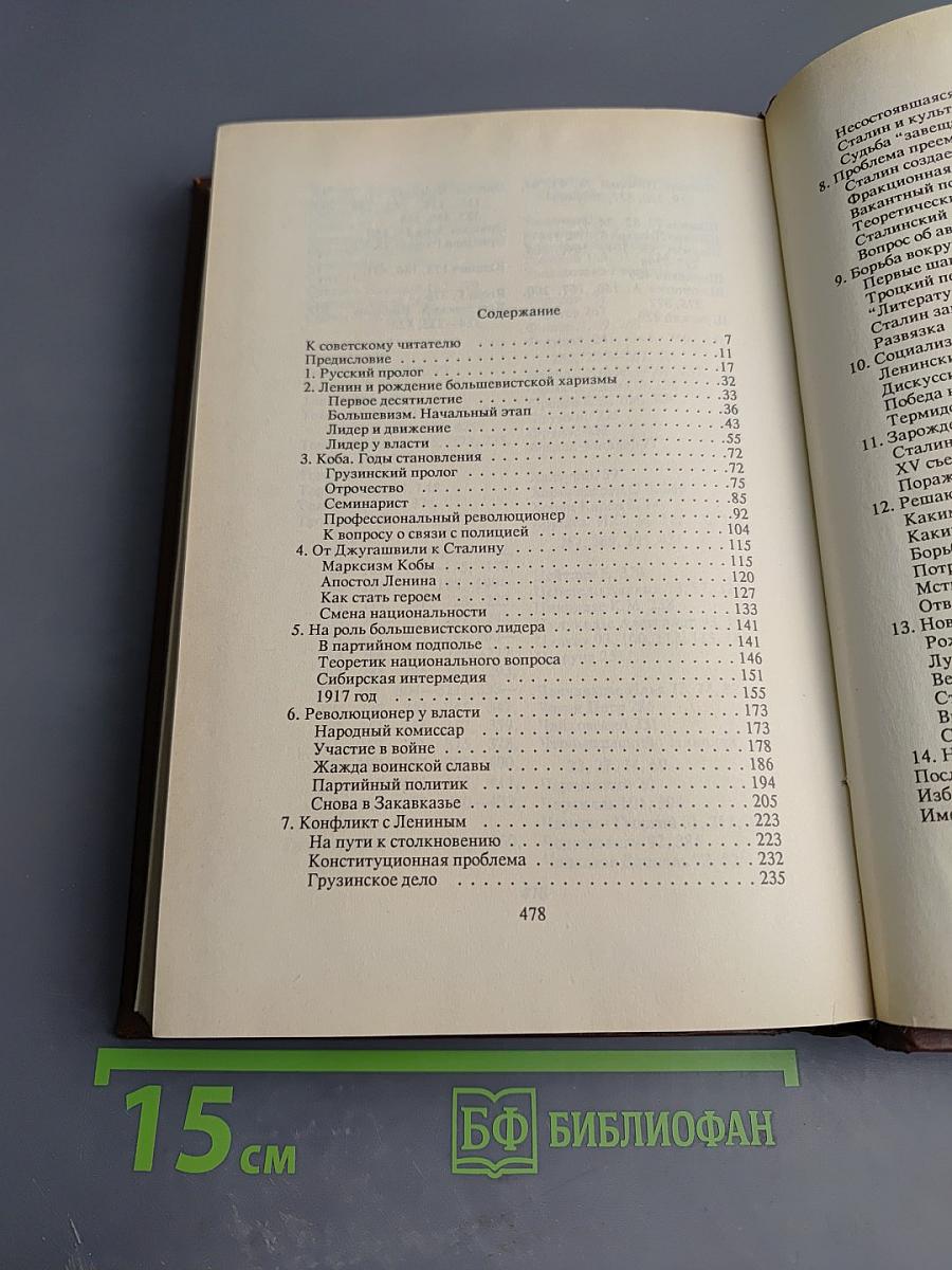 Сталин. Путь к власти 1879-1929. История и личность