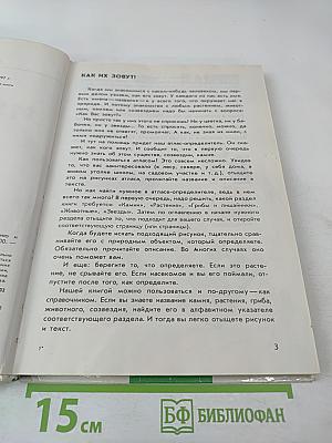 От земли до неба. Атлас-определитель по природоведению и экологии для учащихся начальных классов